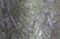 Glenstockadale fibreglass roof work